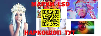 скорость Новозыбков