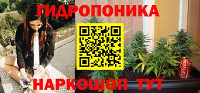 mix Новодвинск